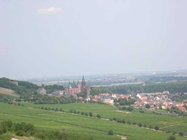 DSCN4922