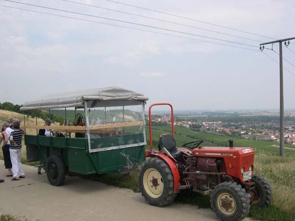 DSCN4926